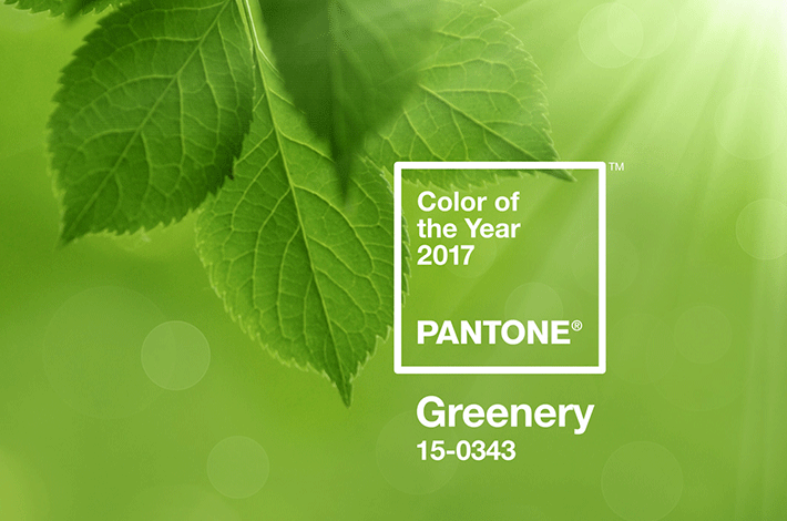 Farbe des Jahres 2017: <strong>Greenery</strong>